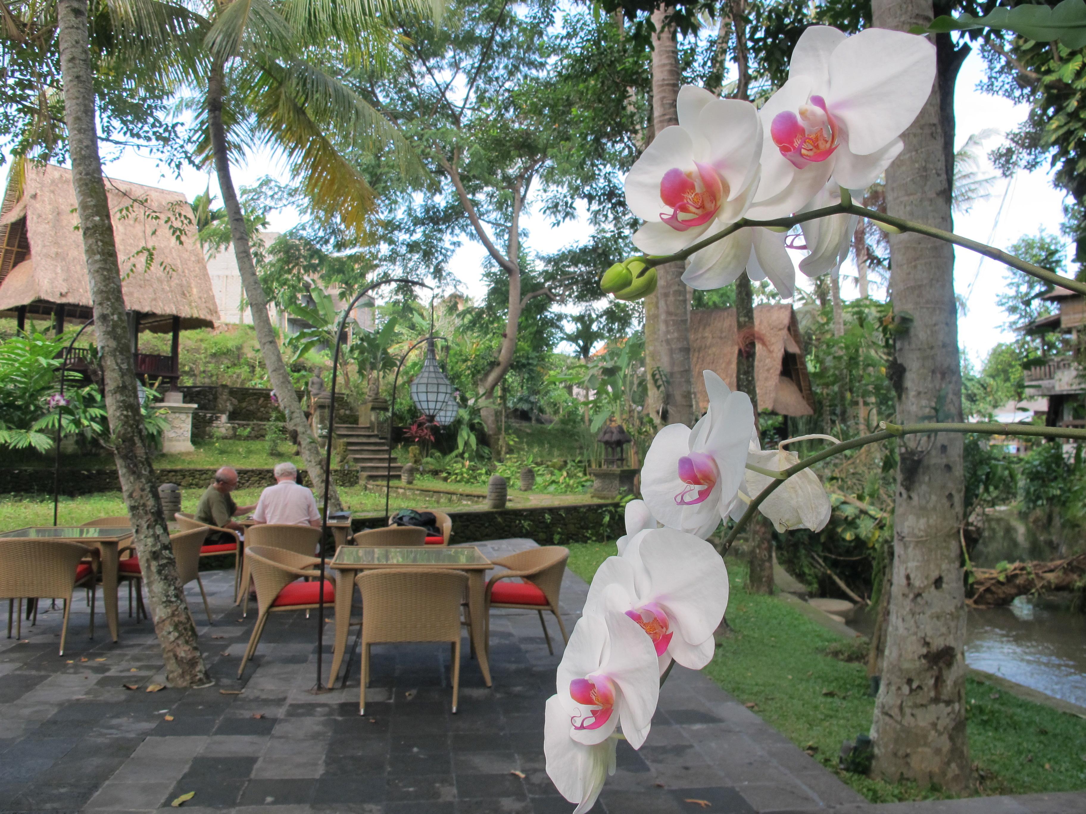 Arma Museum & Resort, Chse Certified Ubud Kültér fotó