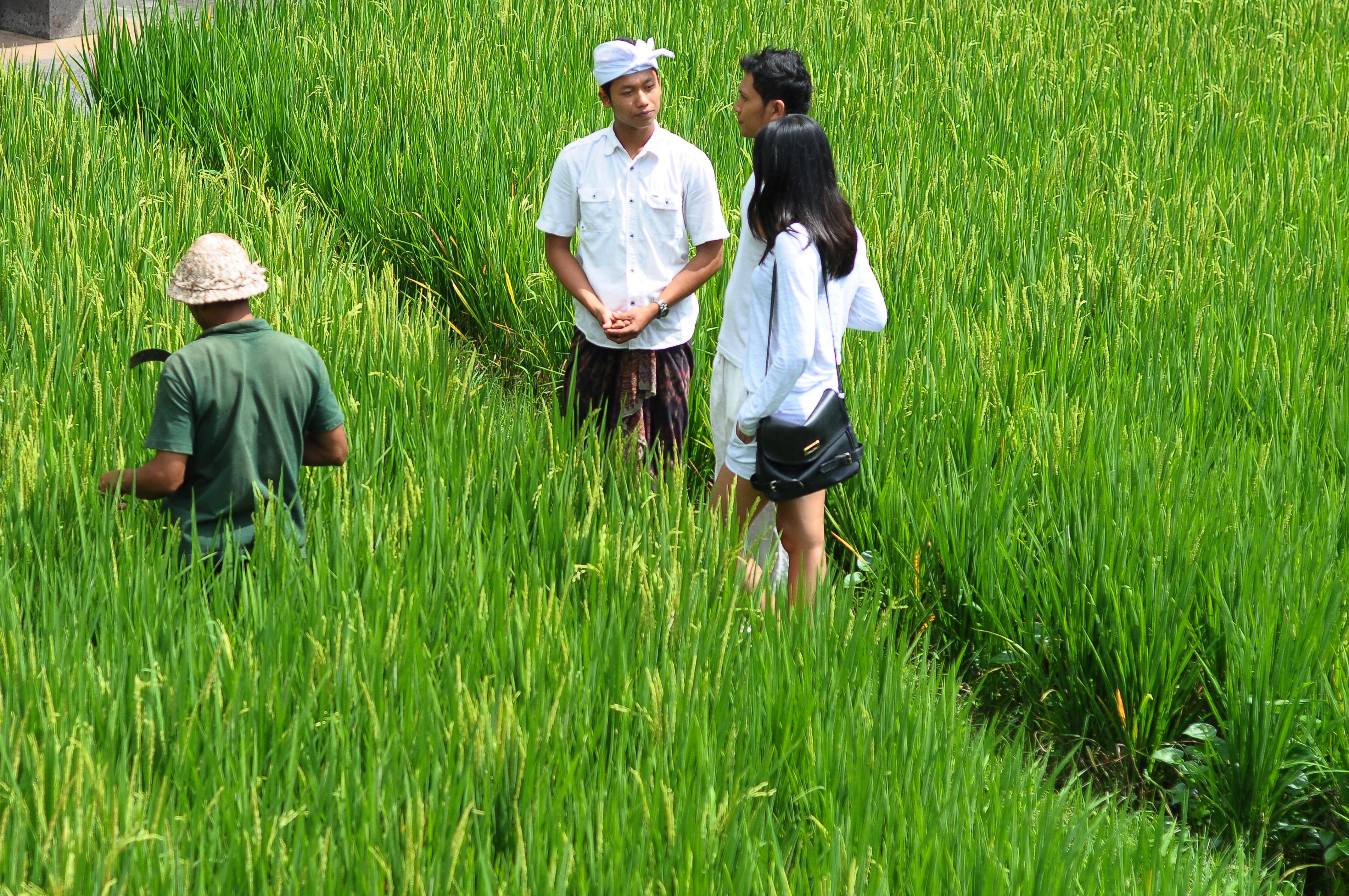 Arma Museum & Resort, Chse Certified Ubud Kültér fotó